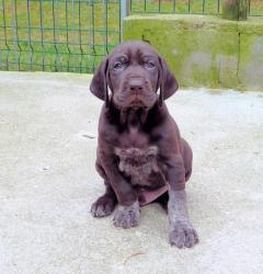 Forrest à 1 mois