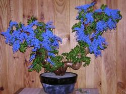 presque tremin&eacute;e