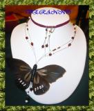 Papillon 2 rang