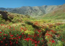 Le plateau du Yagour (Haut-Atlas - Maroc)