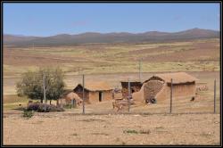 Habitation en terre