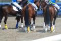 Cliquez pour agrandir Protections uniformes