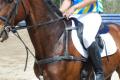 Cliquez pour agrandir Selle & Bricole