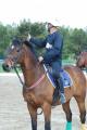 Cliquez pour agrandir Cheval d'arbitre