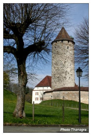 La tour du château.jpeg La tour du château.jpeg