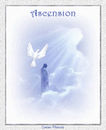 Accédez ici à la section Ascension