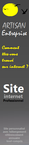 site internet pro