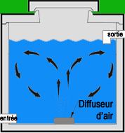 Les boutons sur la personne et la desquamation des mains
