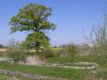 chateaubleau