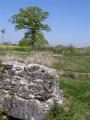 chateaubleau