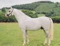 Cymro