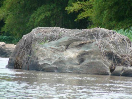 rocher dans le fleuve