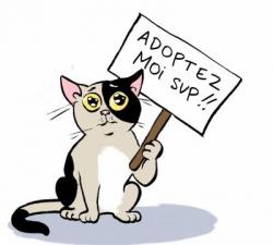 Que traite les entozoaires de la personne
