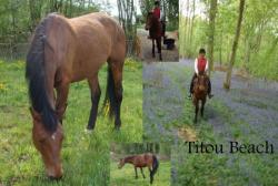 titou