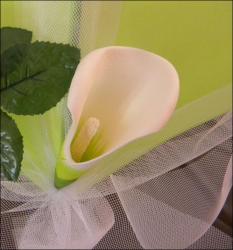 ARUMS BLANC/CREME