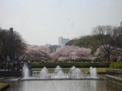 Le parc Ueno