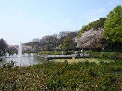 Le parc Ueno