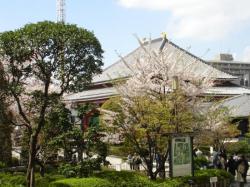 jardin temple senso-ji