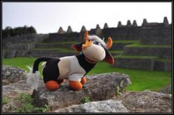 Aravis au Machu Picchu !