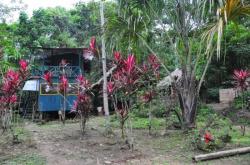 Aper&ccedil;u de notre lodge