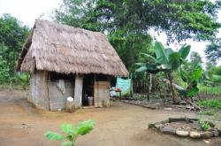 Maisons typiques de la jungle