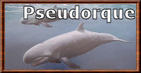 Le pseudorque