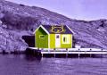Guido_Cathouse