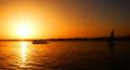 Guido_Ovaire the Sun