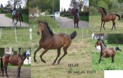 selat