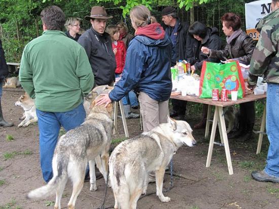 rencontres amis des chiens
