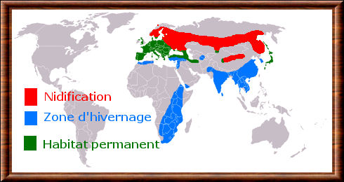 Carte de r�partition de la buse variable