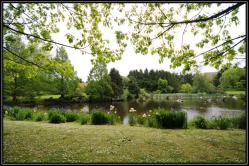 Parc &agrave; Vanvouver