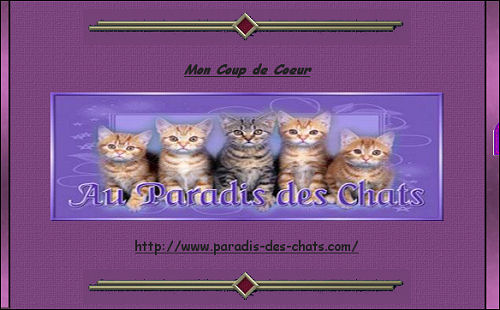 Prix coup de coeur de mai 2010 - Site Cocochats
