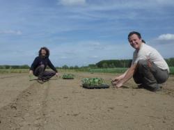 Chantier du 16/05/2010