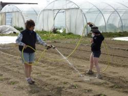 Chantier du 16/05/2010