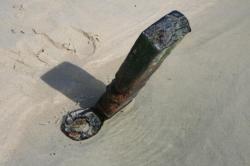 M&ecirc;che du safran de l'&eacute;pave du Cormoran en Baie d'Audierne