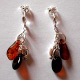 Boucle d'Oreille Ambre - AK71M