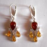 Boucle d'Oreille Ambre - TK548M